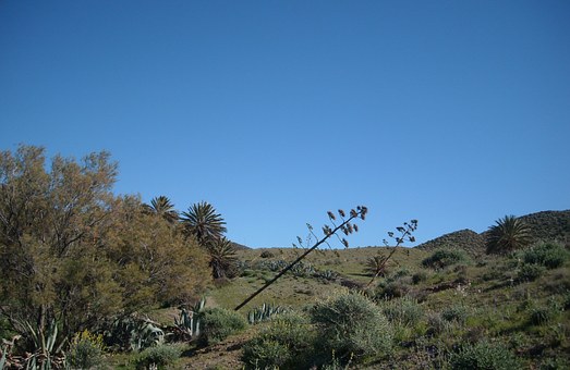 Almeria - a heaven for tourists visiting Spain