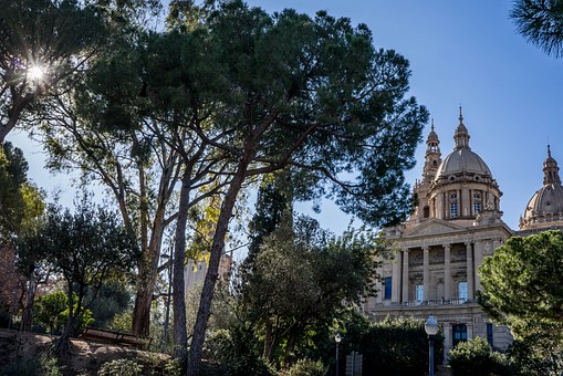Chile Travel Advice For Oenophiles