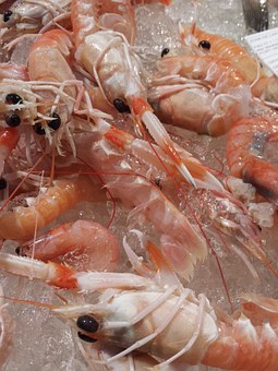 Spain Festivals And Holidays