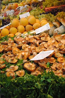 Find Rio De Janerio Travel and Tourist Attractions
