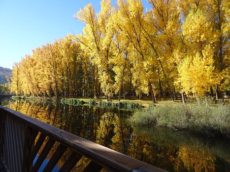 Low-cut Vacay Promos To Stimulate You: Condos, Flights, Eating Areas, Shops, Leisure Activities, And