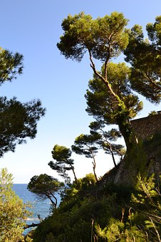 The Best Literature to Read Whilst Camping in France by:Lorraine Waddell