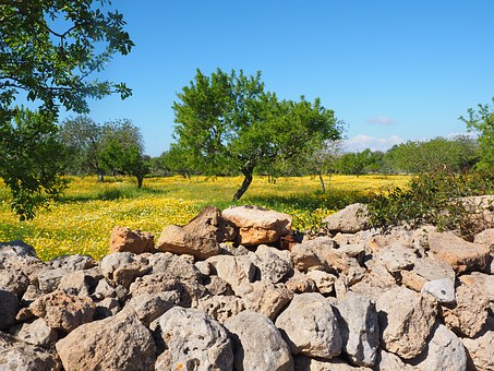 In Search of the Perfect Culinary Holiday in Spain's Rioja Region
