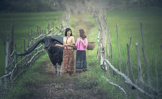 Bangkok Air Travel Don't Have To Be Too Pricey Check Out These Hints On How To Land Fantastic Rates