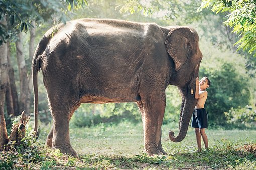 Thailand Tour Packages – Packed with Fun and Delights