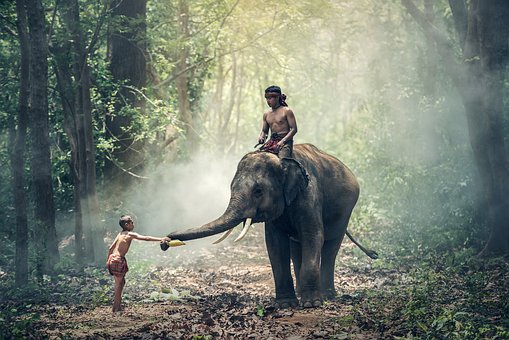 India A Preferred Medical Tourism Destination