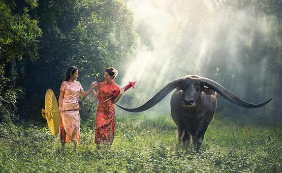 Travel Thailand An Ancient Culture Just Waiting To Be Discovered