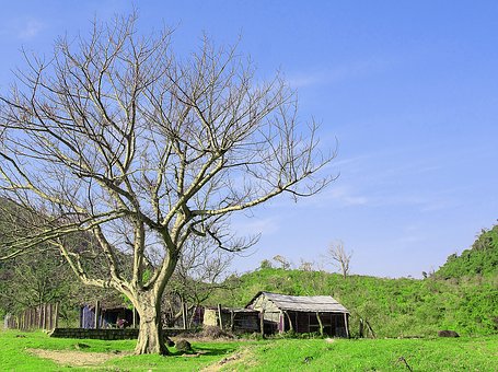 Tours,South India