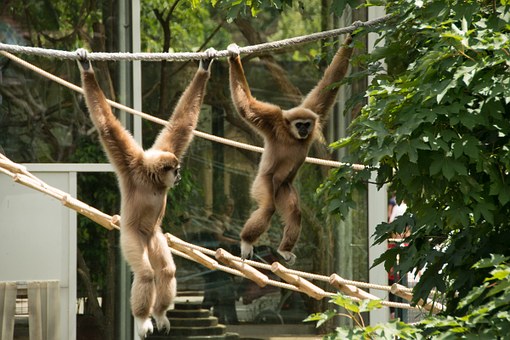 Make Your Phuket Trip As Memorable And Exciting One
