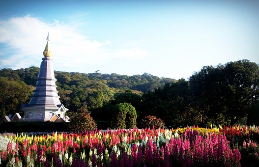Single Travel Asia – Gaining Popularity