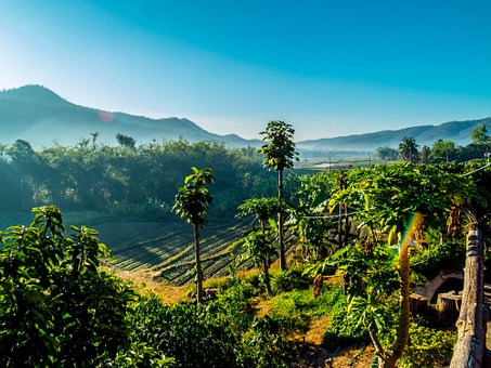 Kerala Backwater Tours – Enjoy Incredible Journey of Lifetime