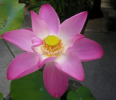 Thailand Plane Travel Aren't Always Out Of Reach Take Advantage Of This Advice On Ways To Get Top-no