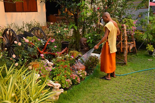 Travel Points To Get The Best Of Peak-deals And Great Accommodation For Koh Samui Hotels