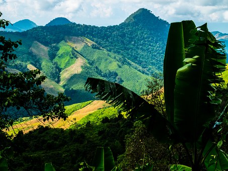 Grand indochina tour
