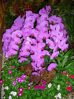 Thailand Airline Travel Don't Have To Be Exorbitant Read These Clues On How To Grab Super Deals Thai