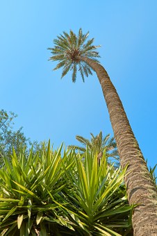 Valuable Articles Talking About Suggestions On Getting Bargain Air Travel Costs