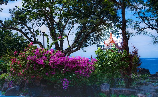 Inexpensive Pass Promos To Shake You: Suites, Plane Fare, Places To Eat, Boutiques, Leisure Activiti
