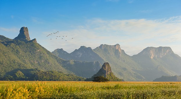Ideas About Getting Inexpensive Cruise Offers Designed For Every Day For Tourists