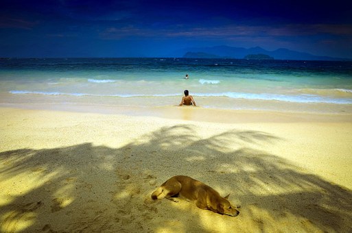 Thailand Airline Travel Shouldn't Be Exorbitant Check Out These Hints On How To Land Top-notch Rates