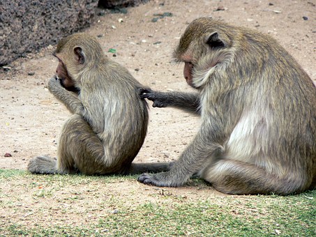 Talk With Regard To Various Pick Of Couples Getaway And Things For A Stay In Tourist