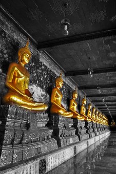 Experts Guidance Relative To Treats Combined With Excursion Trips While Boarding Airlines For Amster