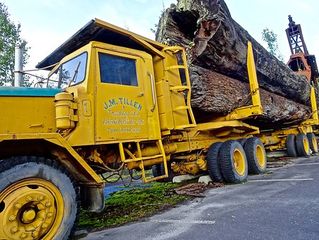 Forestry Trucks: Not Just For Picking Cherries