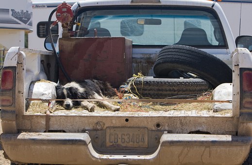 Used 4x4 Pickup Trucks Can Stabilize The Trucks And Stimulate Pockets