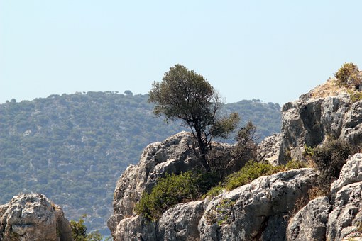 Bodrum Travel Guide