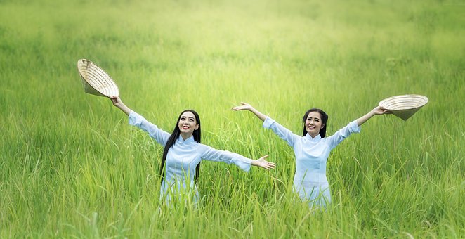 3 Must See Destinations In Vietnam