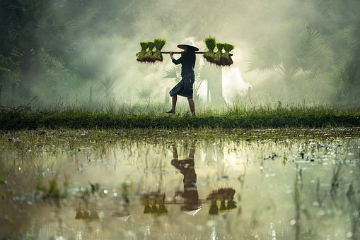 Vietnam Travel Guide