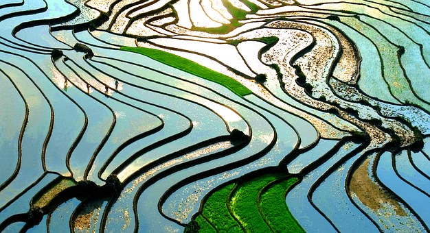 Make Your Vietnam Travel A Memorable One