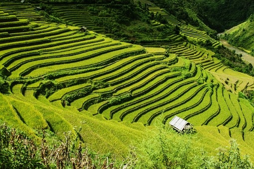 A Paradise in Vietnam