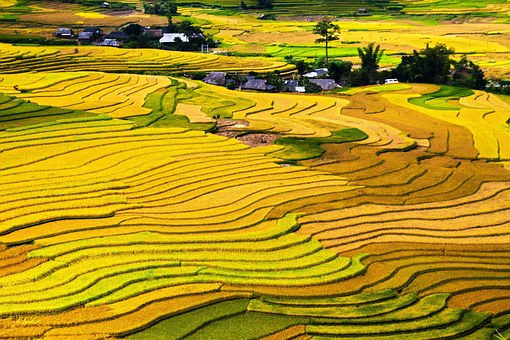 ACTIVETRAVEL ASIA announces to join in American Society of Travel Agents
