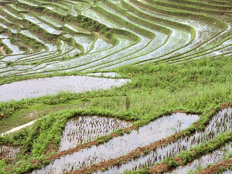 Travel To Vietnam - Vietnam Cities and Attractions