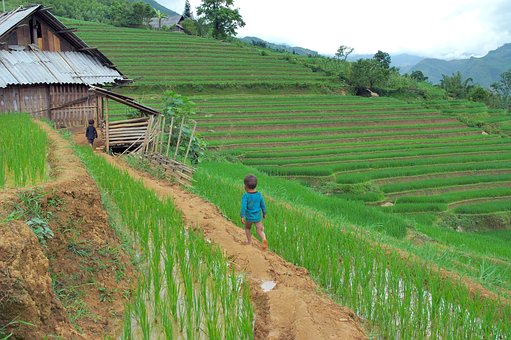 Vietnam- A Suitable Place For Your Summer Holiday