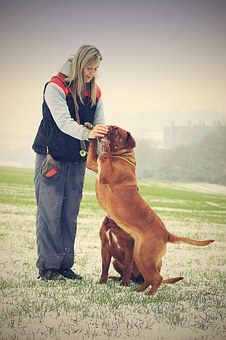 Personal Injury Solicitors Manchester- Why You Should Take Their Help
