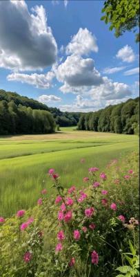 點擊在新窗口查看全圖