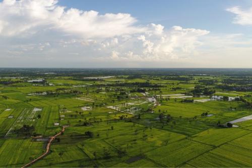 點擊在新窗口查看全圖