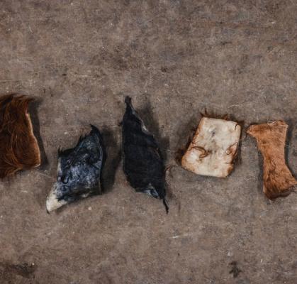 點擊在新窗口查看全圖