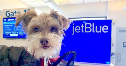 點擊在新窗口查看全圖