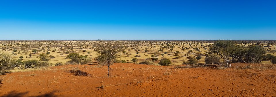 Kenya Holidays- A Camp Classic In Kenya