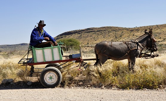 Ecotourism Has Been Called A Natural Holiday