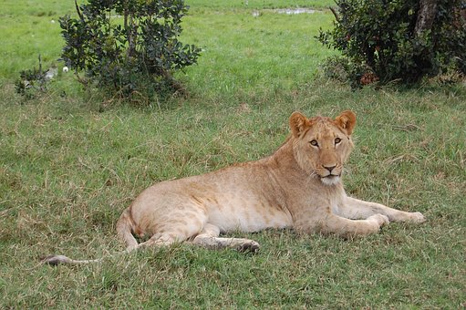4 Reasons for a Golf Holiday in South Africa