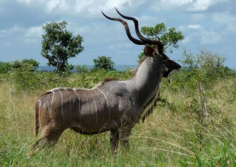 Experience Uganda's Beautiful Scenery