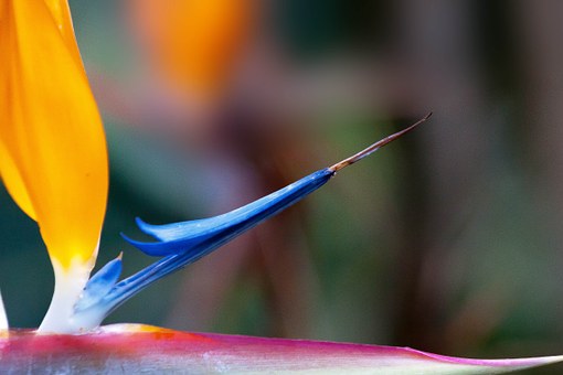 Are The Canary Islands Still A Top Winter Holiday Destination?