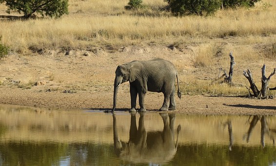 Easter Holidays With The Nightlife Of Johannesburg