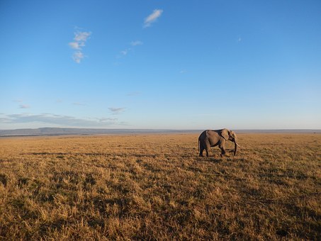 África Uma Temática Obrigatória No Currículo Escolar