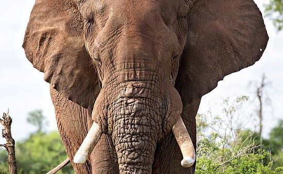 Zimbabwe's Tourism Boost: Top agenda in 2011