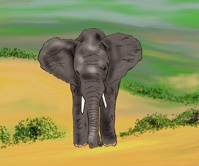 African Safari Holidays - The Romance Of The African Safari