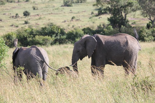 Botswana Tourist Attractions
